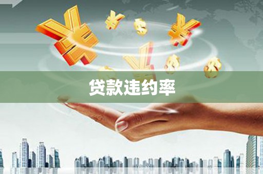 柳东贷款违约率