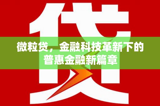 柳东微粒贷，金融科技革新下的普惠金融新篇章