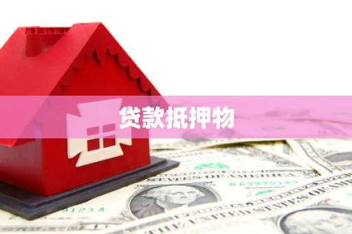 柳东贷款抵押物