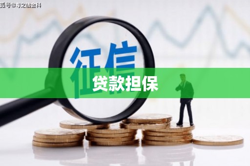 柳东贷款担保