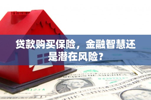 柳东贷款购买保险，金融智慧还是潜在风险？