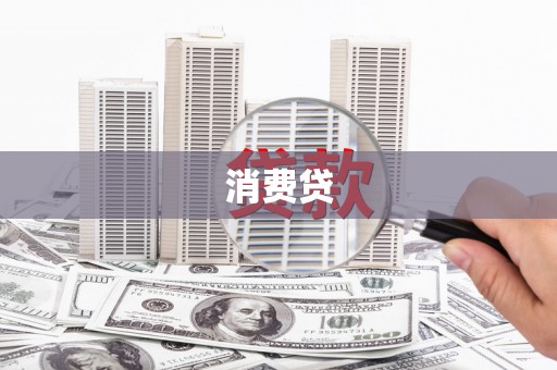 柳东消费贷