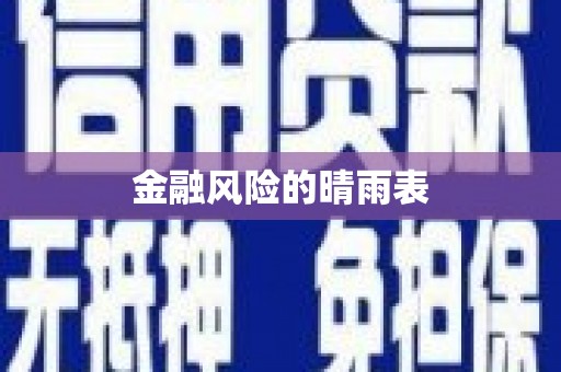 柳东金融风险的晴雨表