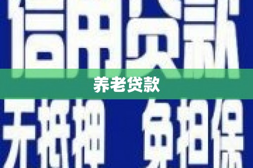 柳东养老贷款