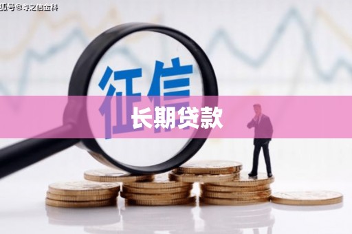 柳东长期贷款