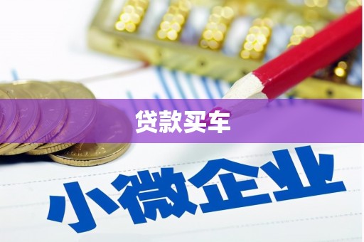 柳东贷款买车