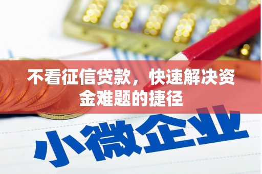 柳东不看征信贷款，快速解决资金难题的捷径