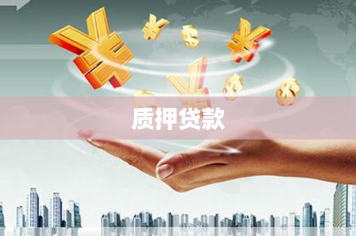 柳东质押贷款