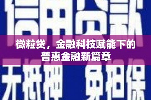 柳东微粒贷，金融科技赋能下的普惠金融新篇章