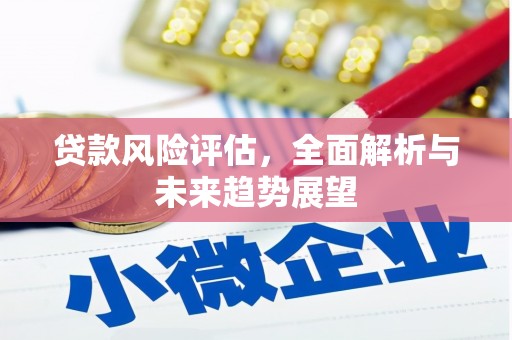 柳东贷款风险评估，全面解析与未来趋势展望