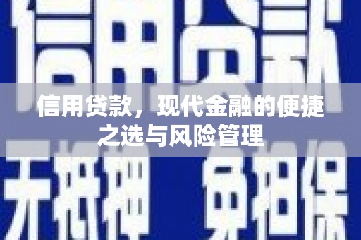 柳东信用贷款，现代金融的便捷之选与风险管理