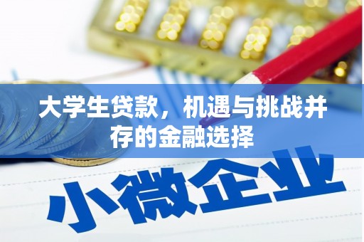 柳东大学生贷款，机遇与挑战并存的金融选择