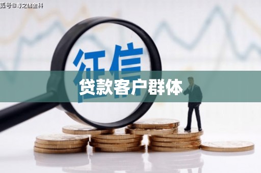 柳东贷款客户群体