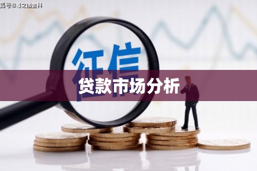 柳东贷款市场分析