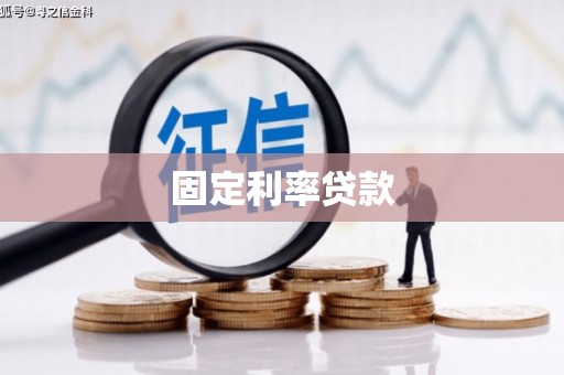 柳东固定利率贷款