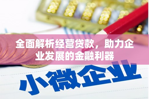 柳东全面解析经营贷款，助力企业发展的金融利器