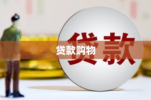 柳东贷款购物