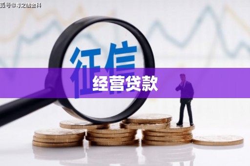 柳东经营贷款