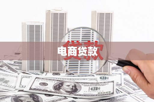 柳东电商贷款