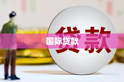 柳东国际贷款
