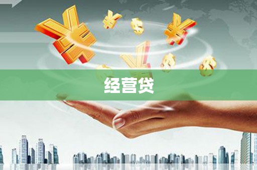 柳东经营贷