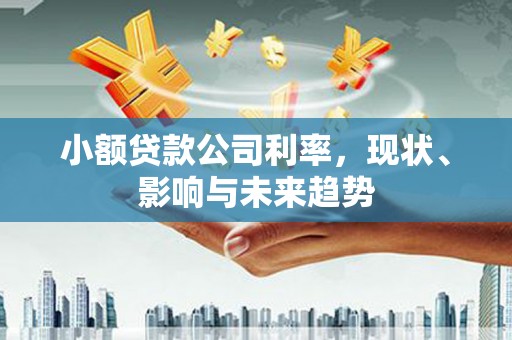 柳东小额贷款公司利率，现状、影响与未来趋势