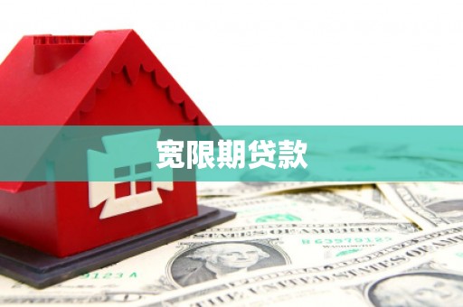 柳东宽限期贷款