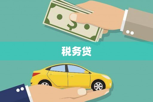 柳东税务贷