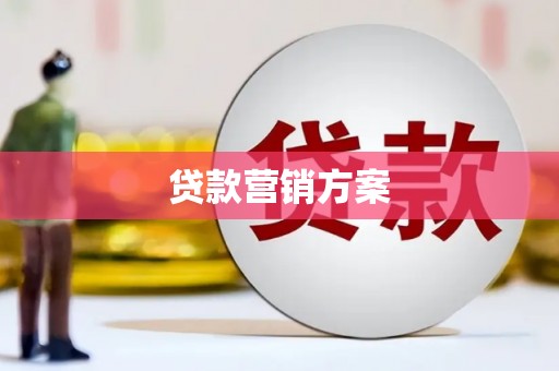柳东贷款营销方案