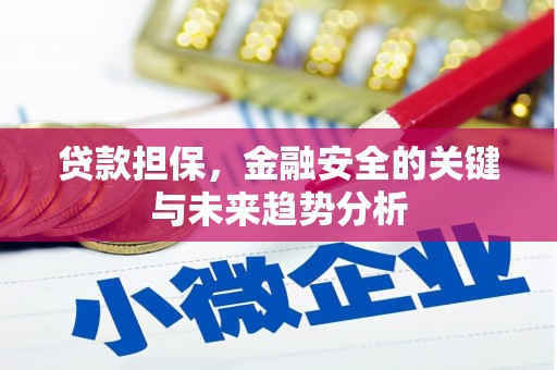 柳东贷款担保，金融安全的关键与未来趋势分析