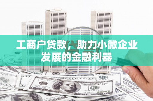 柳东工商户贷款，助力小微企业发展的金融利器