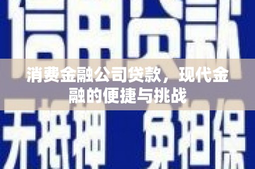 柳东消费金融公司贷款，现代金融的便捷与挑战