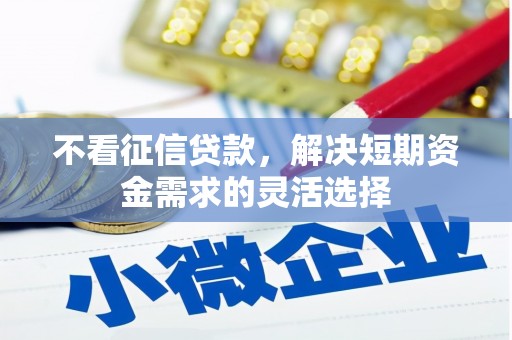 柳东不看征信贷款，解决短期资金需求的灵活选择