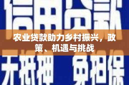 柳东农业贷款助力乡村振兴，政策、机遇与挑战