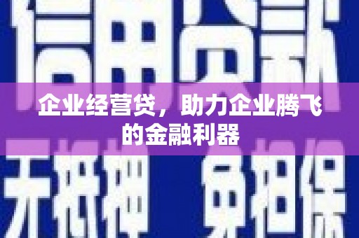 柳东企业经营贷，助力企业腾飞的金融利器