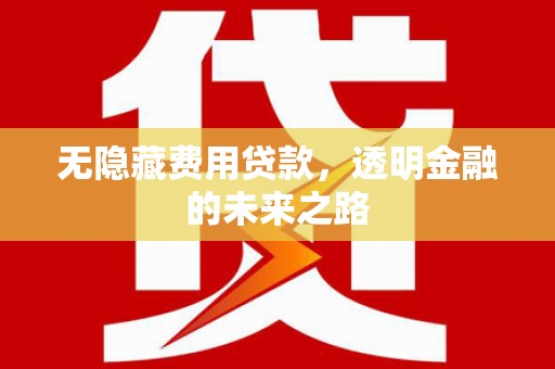柳东无隐藏费用贷款，透明金融的未来之路