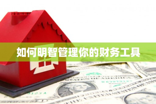 柳东如何明智管理你的财务工具