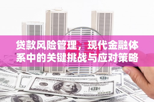 柳东贷款风险管理，现代金融体系中的关键挑战与应对策略
