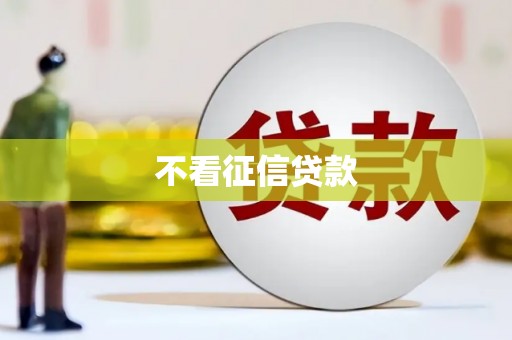 柳东不看征信贷款