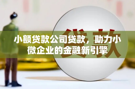 柳东小额贷款公司贷款，助力小微企业的金融新引擎