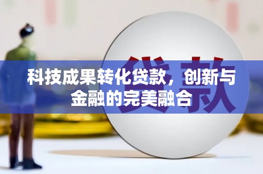 柳东科技成果转化贷款，创新与金融的完美融合