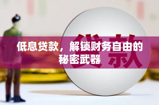柳东低息贷款，解锁财务自由的秘密武器