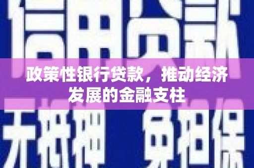 柳东政策性银行贷款，推动经济发展的金融支柱