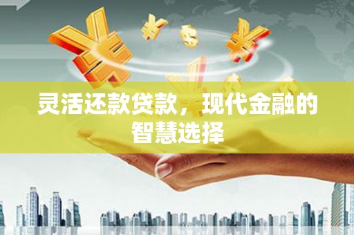 柳东灵活还款贷款，现代金融的智慧选择