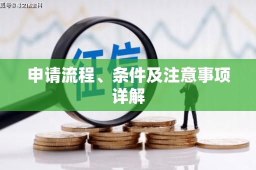 柳东申请流程、条件及注意事项详解
