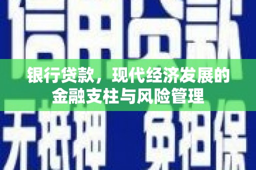 柳东银行贷款，现代经济发展的金融支柱与风险管理
