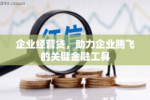 柳东企业经营贷，助力企业腾飞的关键金融工具