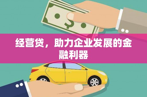 柳东经营贷，助力企业发展的金融利器