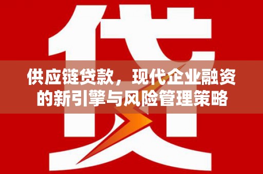 柳东供应链贷款，现代企业融资的新引擎与风险管理策略