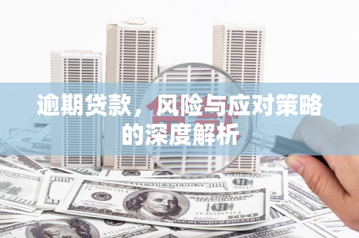 柳东逾期贷款，风险与应对策略的深度解析